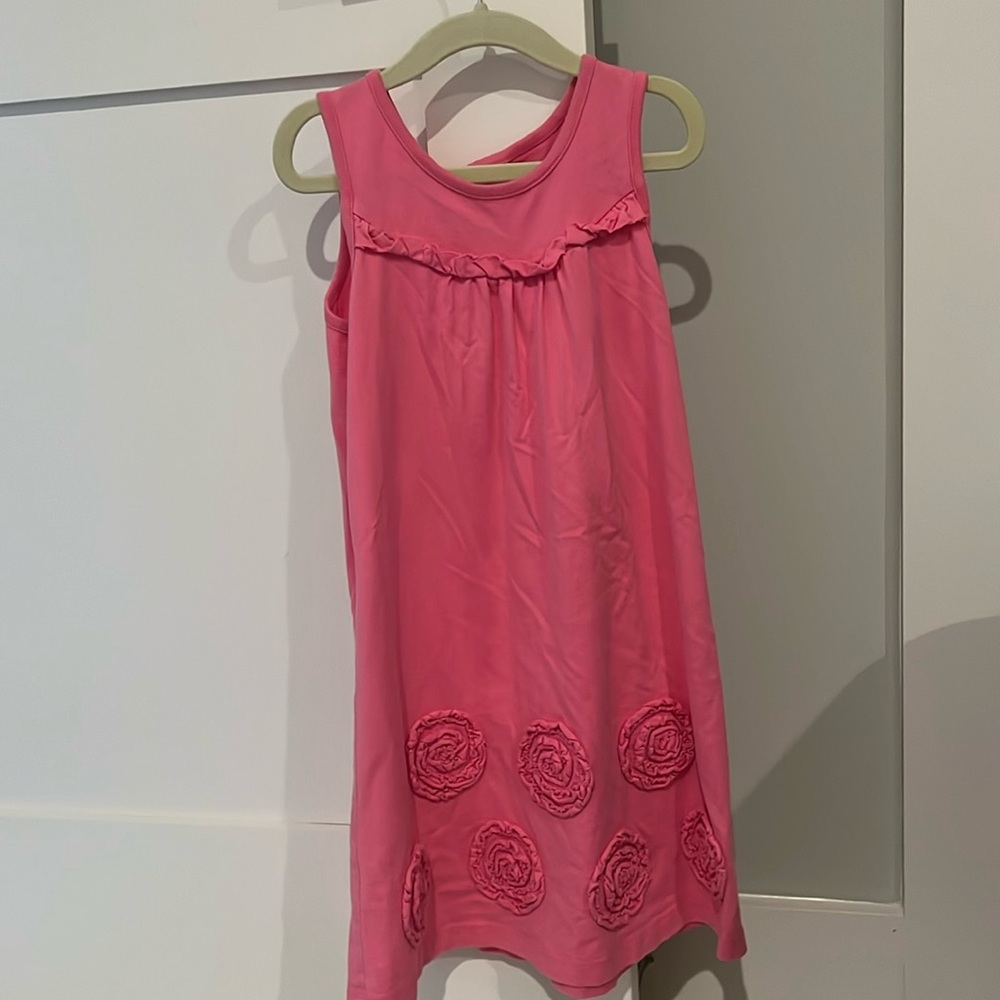 Hanna Andersson Rose Dress